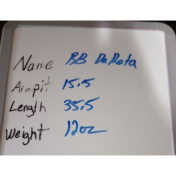 B B Dakota Dress Ladies 10‎ - Picture 7 of 7